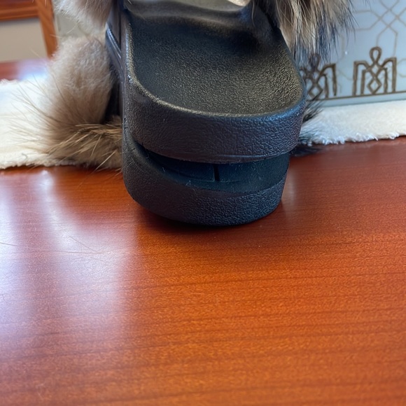 Fox Slides - Picture 7 of 10